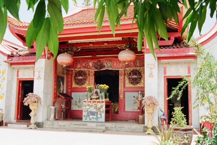 Teaching Toolds Adelaide Musical DVD Entrances