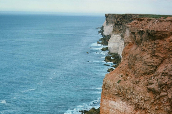 Teaching Tools Life with Nature coastal by Alan Logue